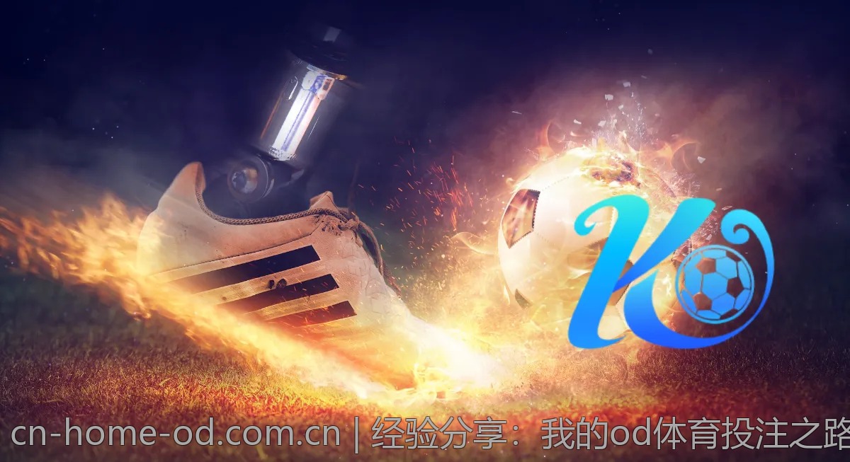 经验分享：我的od体育投注之路