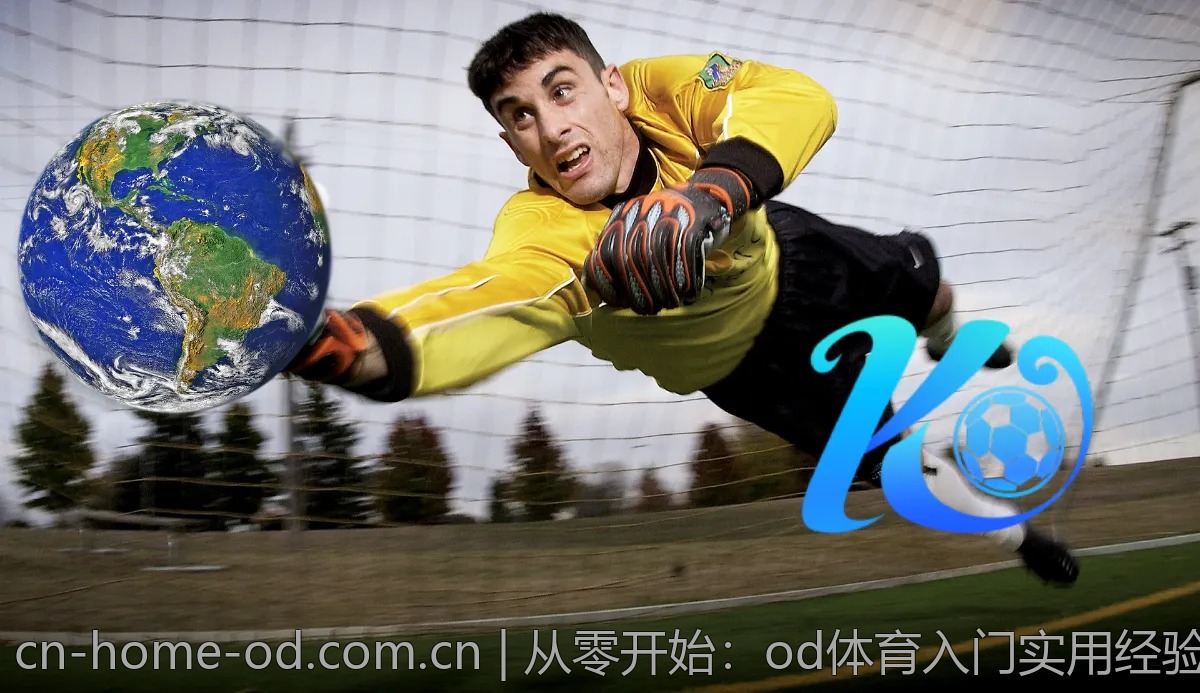 从零开始:od体育入门实用经验总结