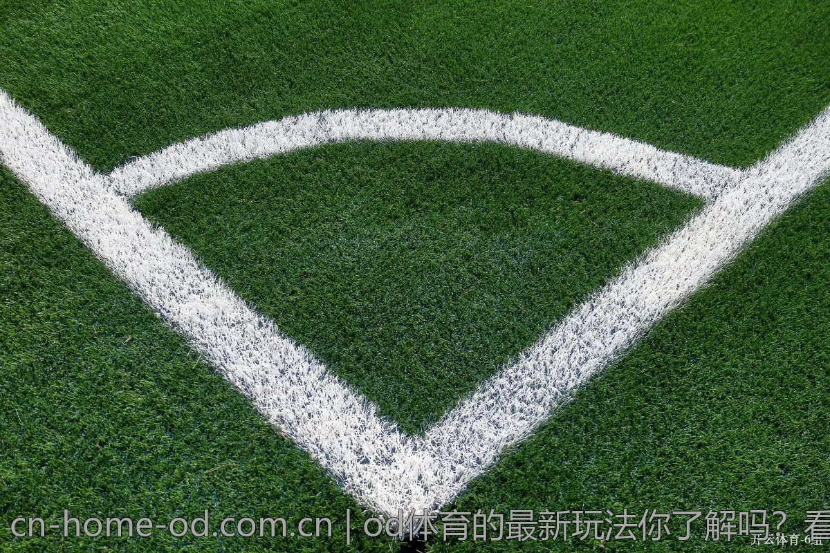 od体育的最新玩法你了解吗？看完你就懂