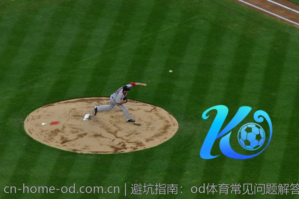 避坑指南:od体育常见问题解答与应对