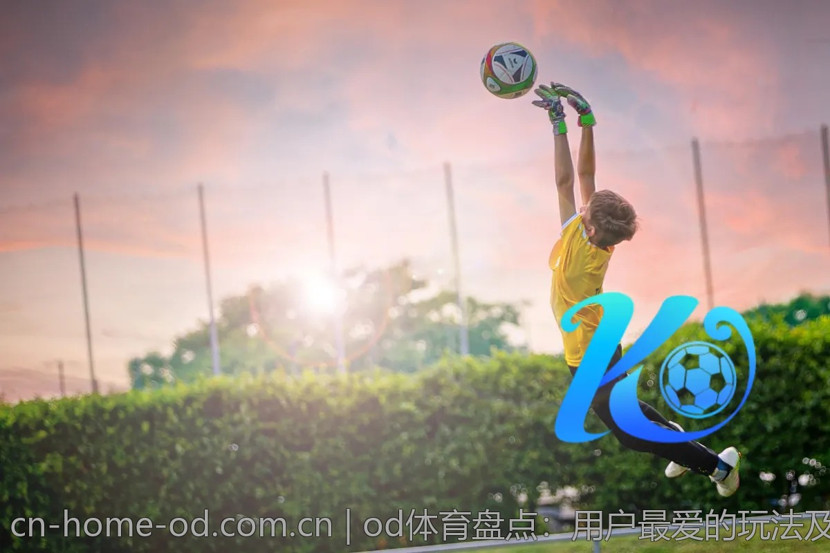 od体育盘点：用户最爱的玩法及特色