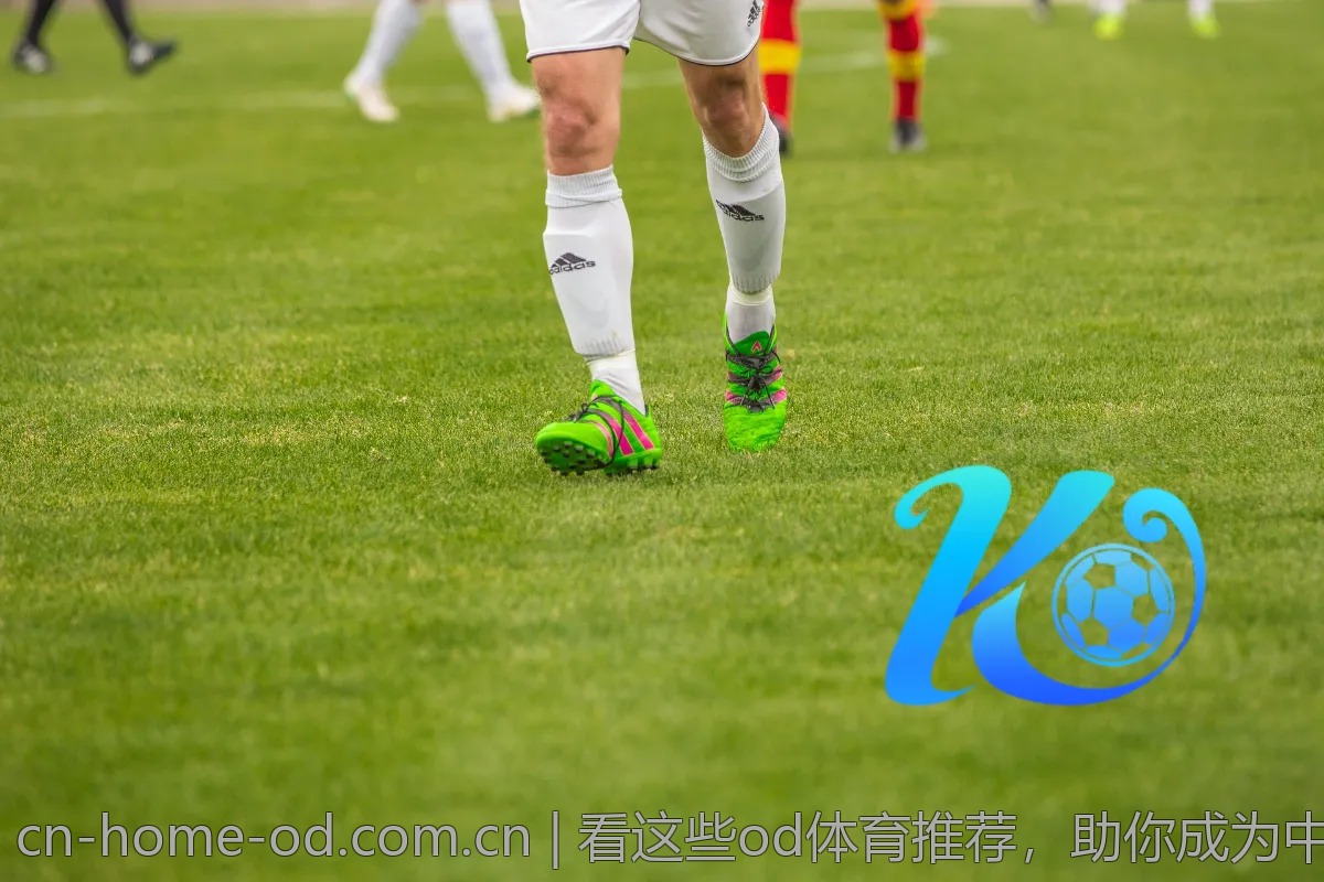 看这些od体育推荐,助你成为中奖高手!
