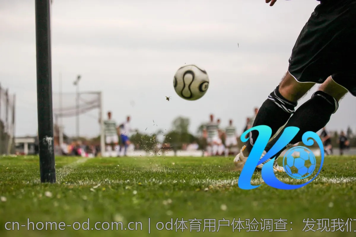 od体育用户体验调查：发现我们的不足